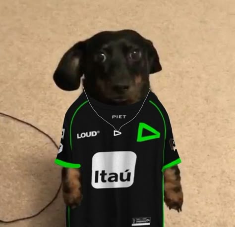 ꧁pคt໐ຊx 卩丂丨匚ㄖ꧂